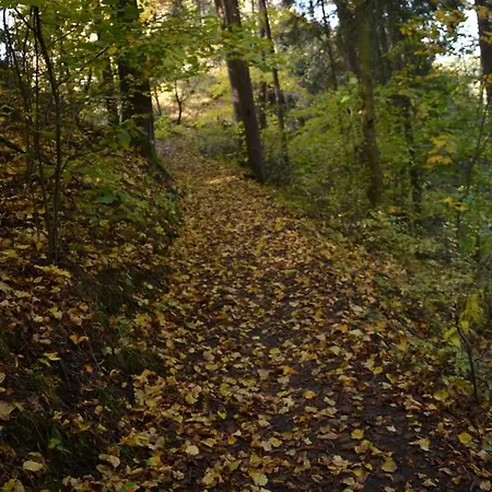 里森私家宾馆 公寓 *