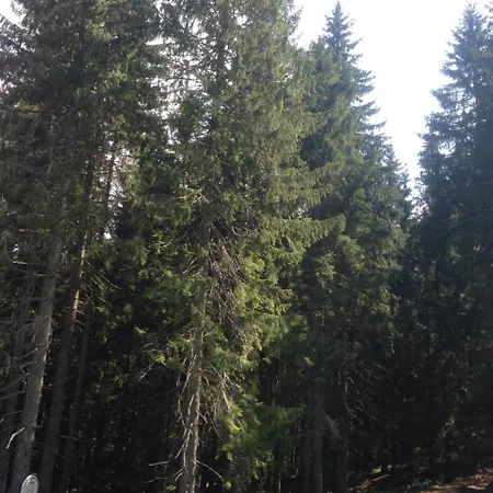 Privat Pod Lesom *