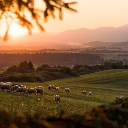 Apartment Privat Pod Lesom