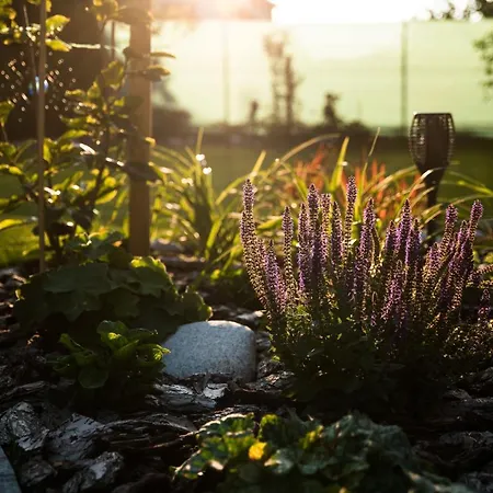 里森私家宾馆 *