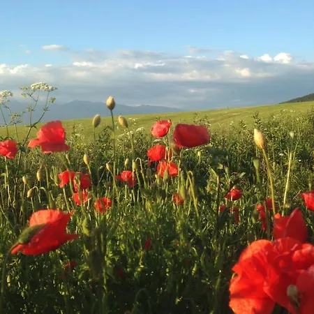 里森私家宾馆 *