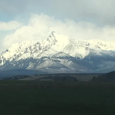 公寓 里森私家宾馆 *