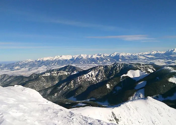 里森私家宾馆 *