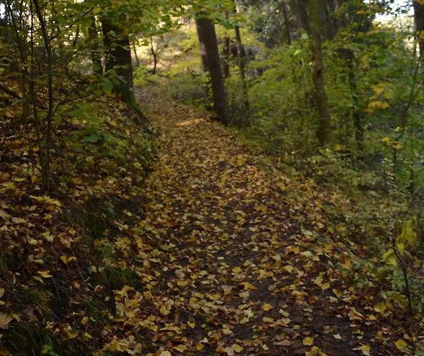 里森私家宾馆 公寓 *