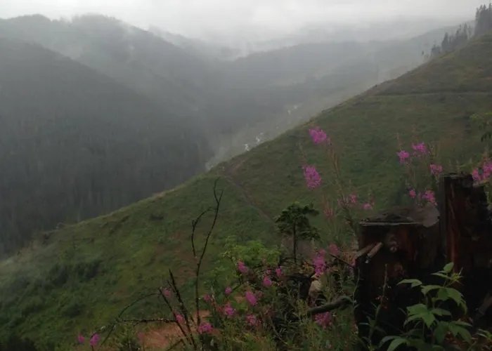 公寓 里森私家宾馆