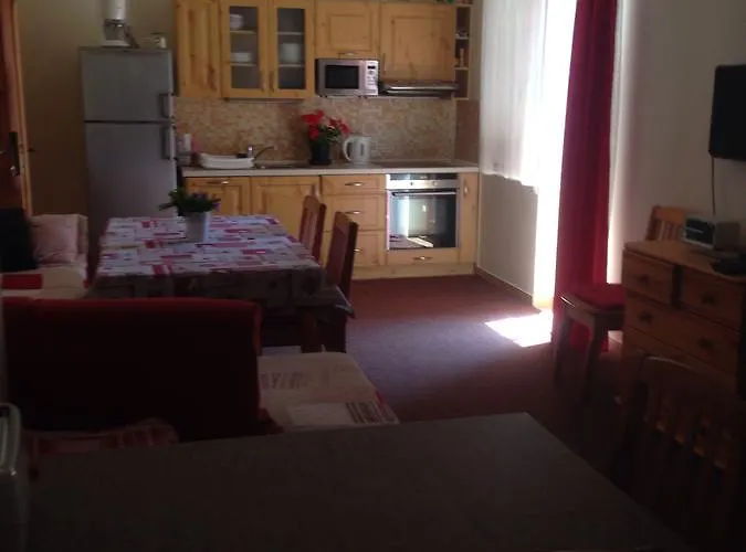 公寓 里森私家宾馆 *