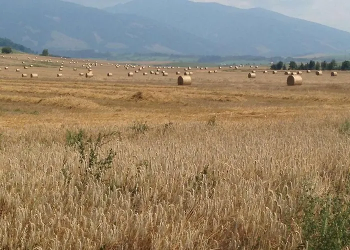 公寓 里森私家宾馆 Pavčina Lehota