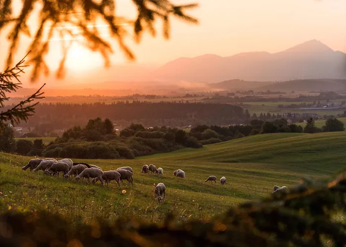 公寓 里森私家宾馆
