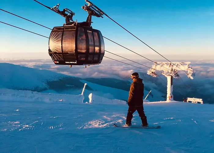 里森私家宾馆 *