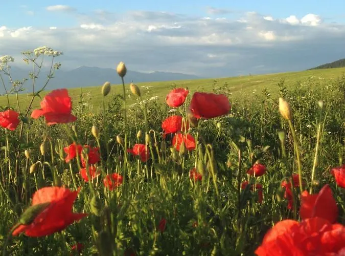 里森私家宾馆 *