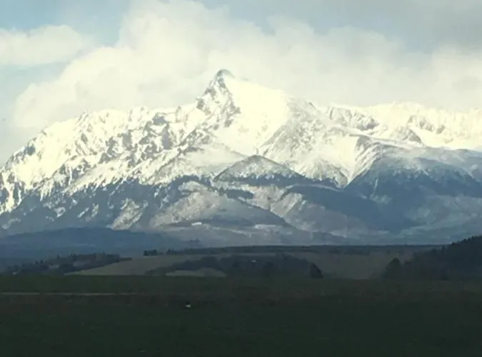 公寓 里森私家宾馆 *